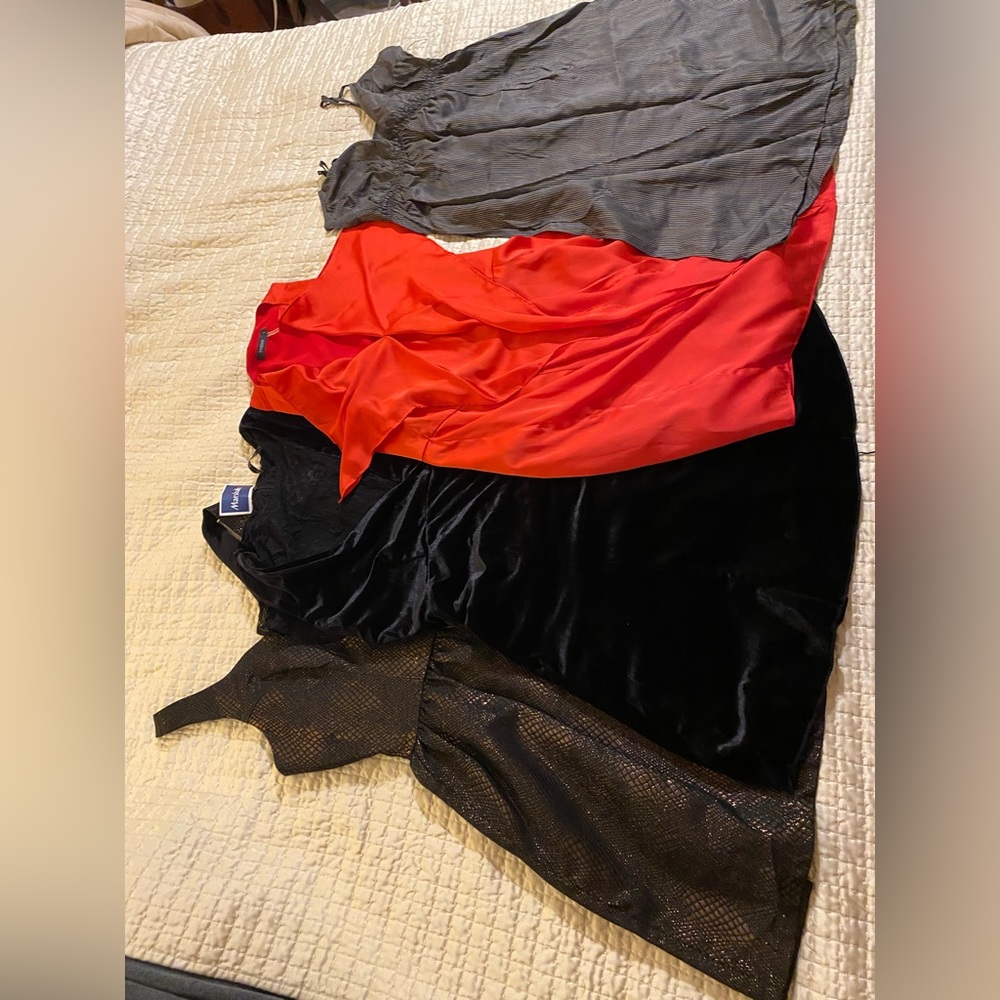 Large dress lot